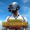 和平精英国际服官方正版 2024最新版v3.5.0